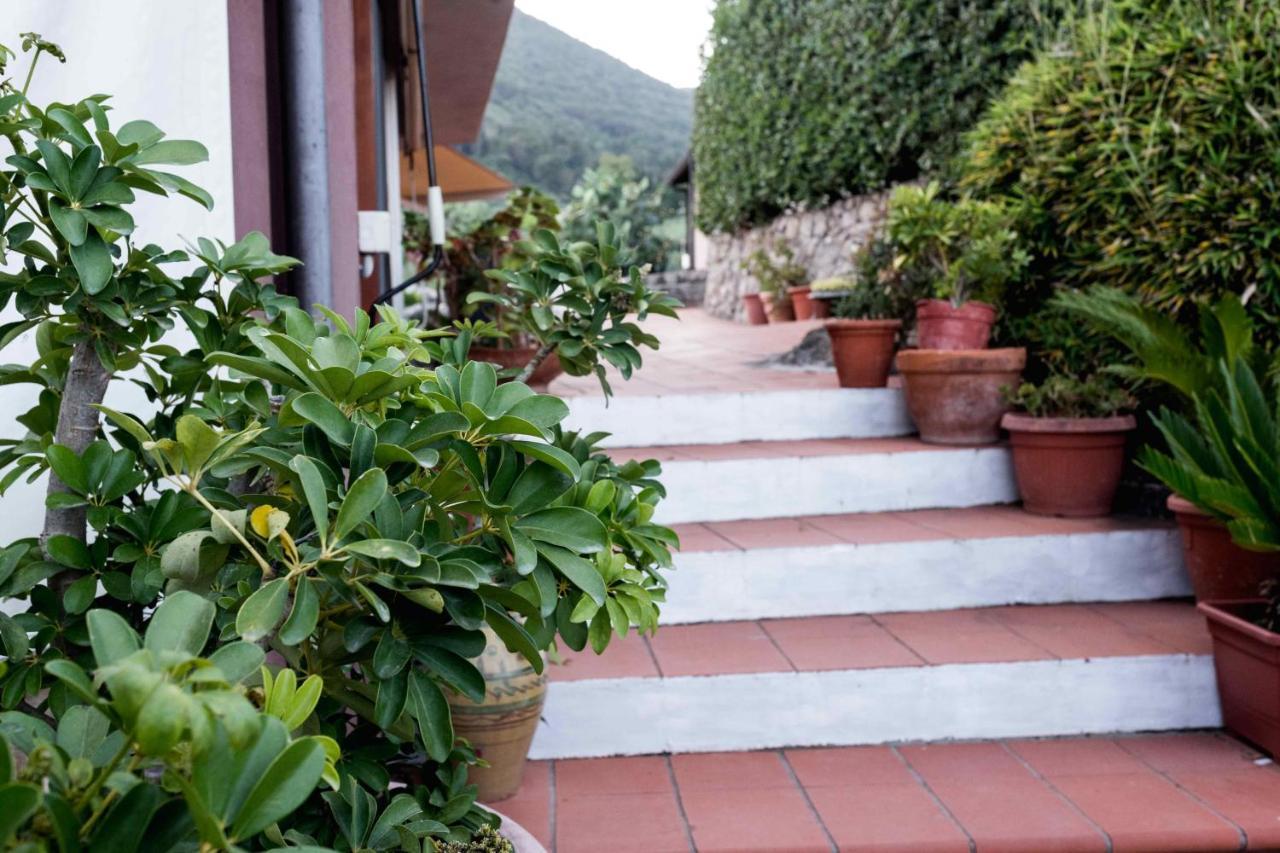 Villa Ida Bed & Breakfast Terracina Ngoại thất bức ảnh